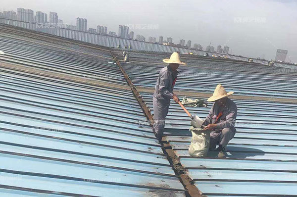 彩鋼瓦生銹了怎么辦，翻新需要打磨嗎？