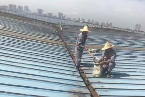 彩鋼瓦生銹了怎么辦，翻新需要打磨嗎？