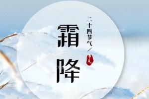 工商業(yè)分布式光伏屋面翻新修繕正當(dāng)時(shí)